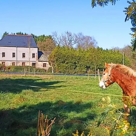 Villa Moulin De La Houssaie - Parc Arbore Et Ses Etangs Guer