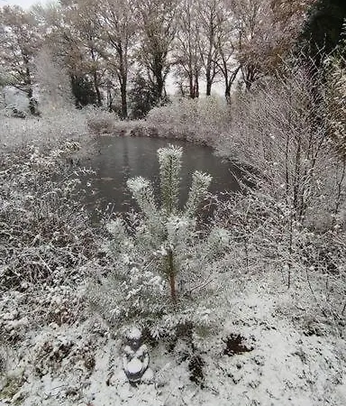Moulin De La Houssaie - Parc Arbore Et Ses Etangs