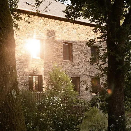 Moulin De La Houssaie - Parc Arbore Et Ses Etangs Villa